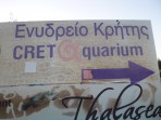 Cretaquarium (aquarium marin) - île de Crète Photo 3