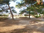 Forteresse de Fortezza (Rethymno) - île de Crète Photo 16