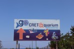 Cretaquarium (aquarium marin) - île de Crète Photo 1
