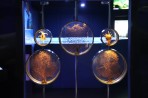 Cretaquarium (aquarium marin) - île de Crète Photo 9