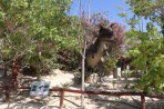 Dinosauria Park - île de Crète Photo 31
