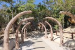 Dinosauria Park - île de Crète Photo 32