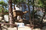 Dinosauria Park - île de Crète Photo 35