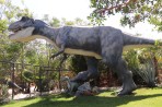 Dinosauria Park - île de Crète Photo 37