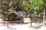 Dinosauria Park - île de Crète Photo 38