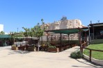 Dinosauria Park - île de Crète Photo 43