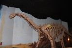 Dinosauria Park - île de Crète Photo 5