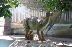 Dinosauria Park - île de Crète Photo 7