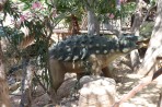 Dinosauria Park - île de Crète Photo 11