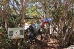 Dinosauria Park - île de Crète Photo 15