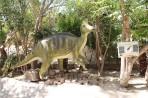 Dinosauria Park - île de Crète Photo 17