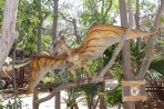 Dinosauria Park - île de Crète Photo 20
