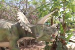 Dinosauria Park - île de Crète Photo 22