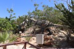 Dinosauria Park - île de Crète Photo 24