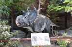 Dinosauria Park - île de Crète Photo 25