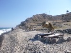 Plage de Fakinos - île de Santorin Photo 6