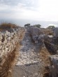 Thira (site archéologique) - île de Santorin Photo 22