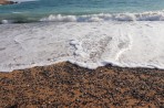 Plage de Fourni - île de Rhodes Photo 15