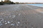 Plage de Lachania - île de Rhodes Photo 5