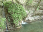 Vallée des papillons (Petaloudes) - Île de Rhodes Photo 17