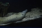 Aquarium Faliraki - île de Rhodes Photo 31