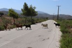 La nature sur l'île de Rhodes Photo 6