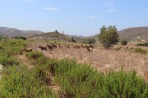 La nature sur l'île de Rhodes Photo 8