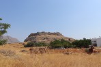 Château de Feraklos - Île de Rhodes Photo 4