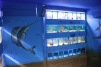 Aquarium Faliraki - île de Rhodes Photo 18