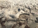 Plage de Marmari - Île de Kos Photo 21