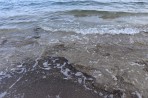 Plage de Chryssi Akti (Golden Shore) - Île de Kos Photo 6