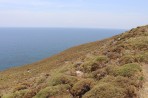 Agios Fokas - île de Kos Photo 3