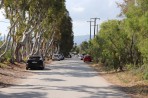 Lambi - île de Kos Photo 4