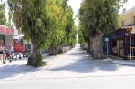 Lambi - île de Kos Photo 23