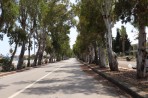 Psalidi - île de Kos Photo 3