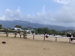 Erikas Horse Farm - île de Kos Photo 8