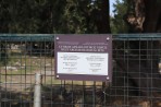 Capitale de Kos - île de Kos Photo 14