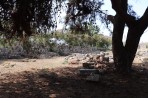 Capitale de Kos - île de Kos Photo 15