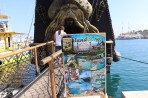 Capitale de Kos - île de Kos Photo 13