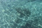 Île de Plati Photo 5
