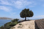 Île de Plati Photo 11