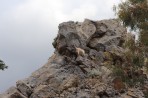 Monts Dikeos - île de Kos Photo 8