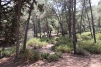 Parc animalier de la forêt de Plaka - île de Kos Photo 17