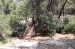 Parc animalier de la forêt de Plaka - île de Kos Photo 19