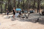 Parc animalier de la forêt de Plaka - île de Kos Photo 22