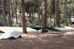 Parc animalier de la forêt de Plaka - île de Kos Photo 5