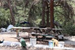 Parc animalier de la forêt de Plaka - île de Kos Photo 7