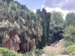 Agora (site archéologique) - île de Kos Photo 9