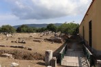 Casa Romana - île de Kos Photo 6