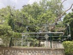 Platane d'Hippocrate - île de Kos Photo 2